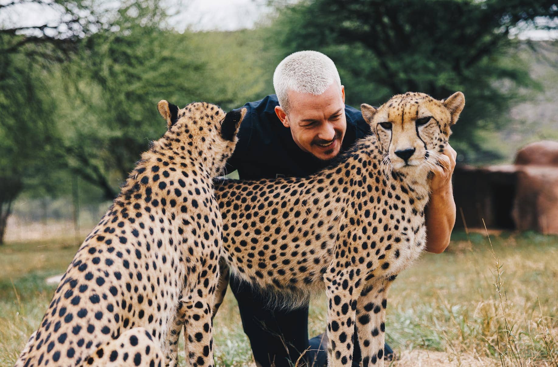 Cheetah-Brothers